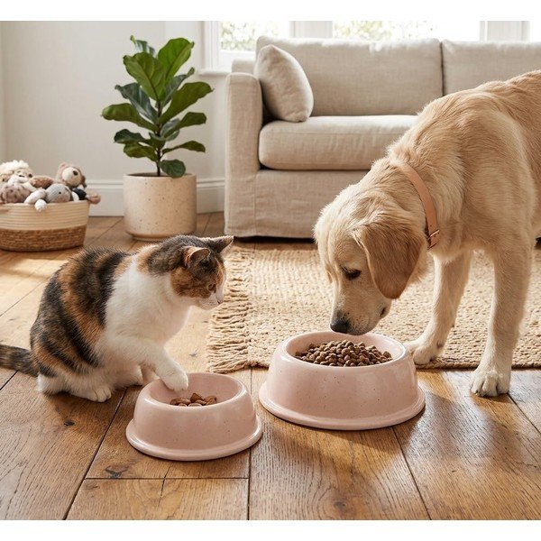 Kivikeraamikast kauss lemmikloomadele ø 16 cm - Casafina-image-1