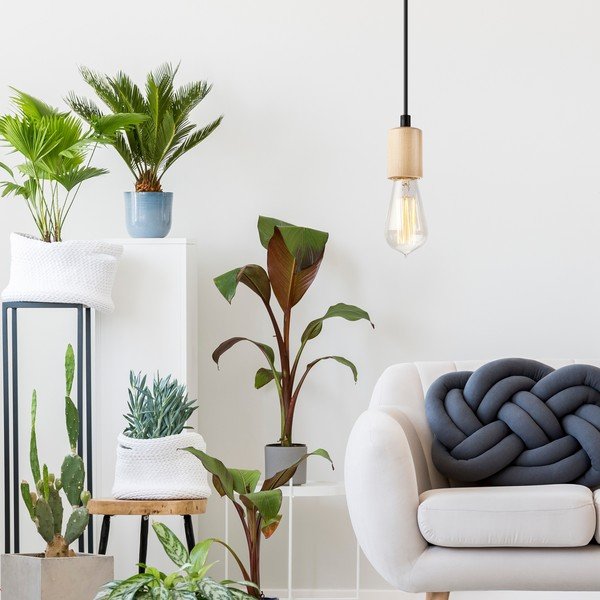 Rippvalgusti Leon - LAMKUR-image-1