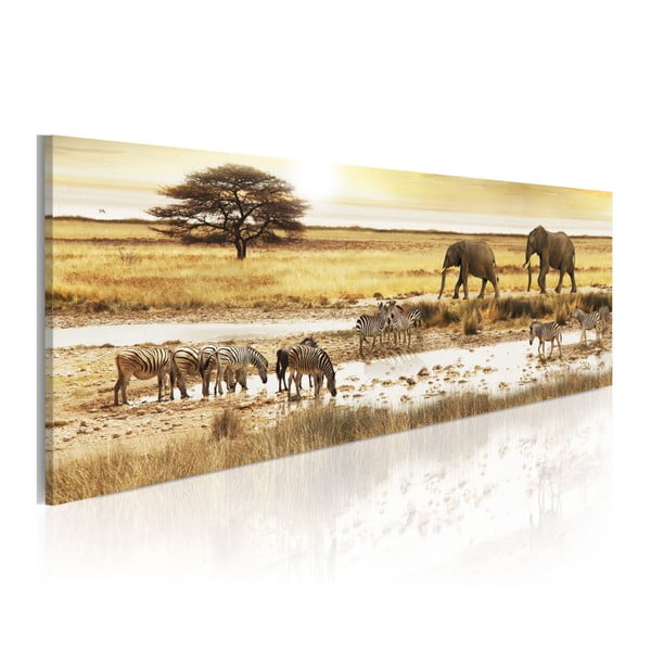 Obraz na plátně Bimago Africa, 40 x 120 cm