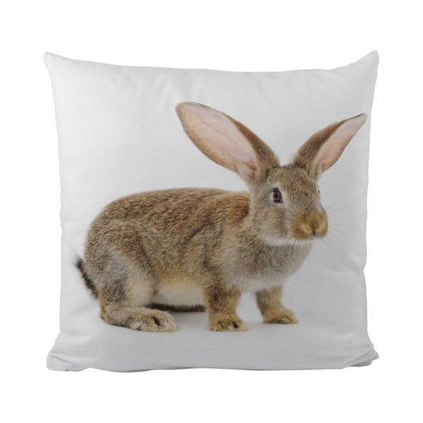 Polštář This Bunny, 50x50 cm