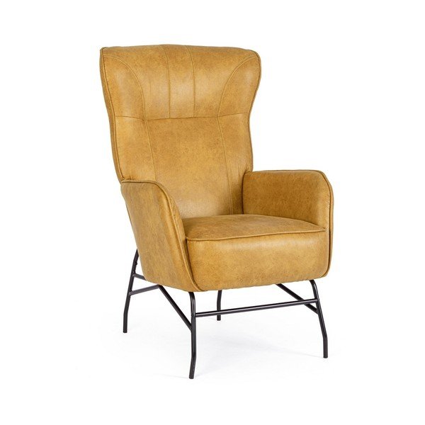 Sinepikarva kunstnahast tugitool Nasira - Bizzotto