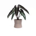 Keraamiline lillepott ø 14 cm Diana - Artevasi