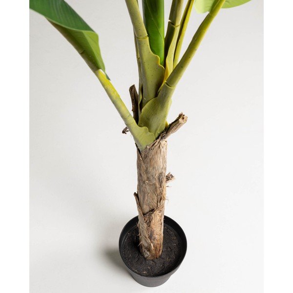 Kunstpalm (kõrgus 160 cm) Baa - Kave Home-image-2