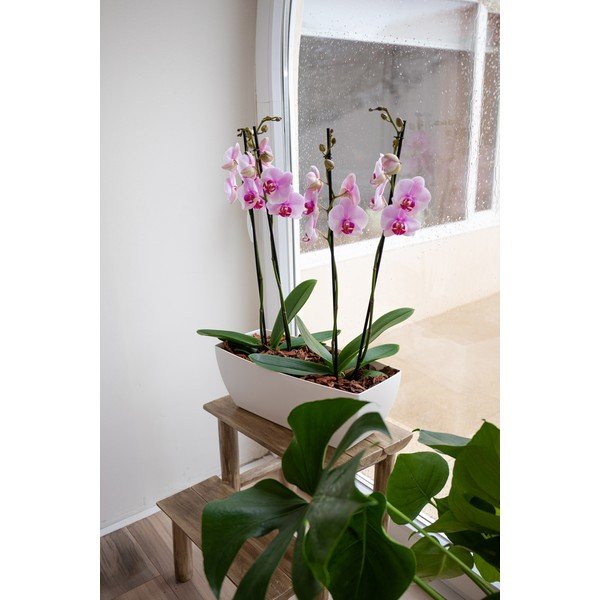 Taaskasutatud plastikust karp 40 cm Siena - Artevasi-image-2