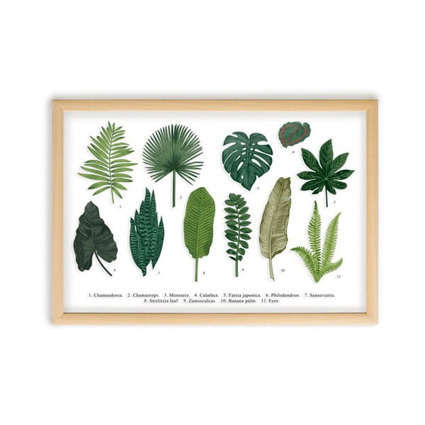 Pilt männipuidust raamiga Leafes Guide, 50 x 70 cm Leaves Guide - Surdic