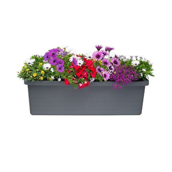 Antratsiit suures mahus isevoolav istutuspott, 72 l Berberis Trio - Plastia-image-1