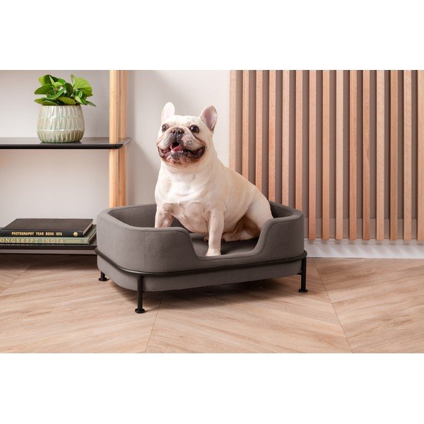 Hall sametist lemmikloomavoodi 42x63 cm Puffed - Leitmotiv-image-1