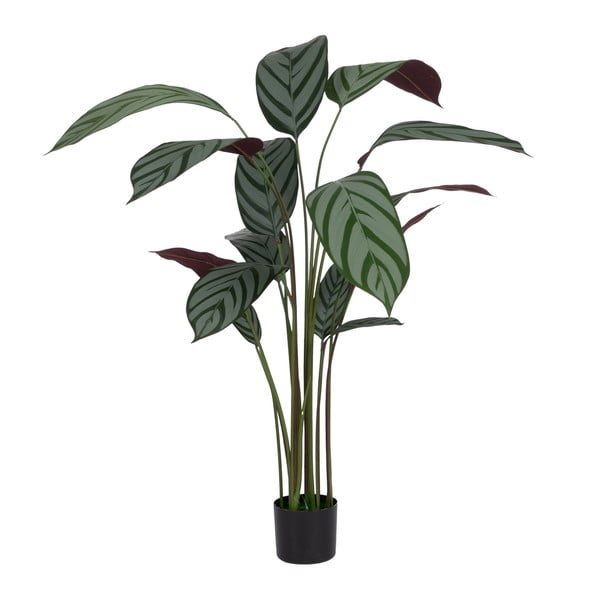 Kunsttaim (kõrgus 150 cm) Calathea - Ixia