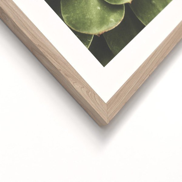 Trükitud pildid 2 tk komplektis koos raamiga 30x40 cm Beauty Green - Styler-image-3