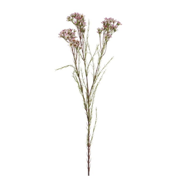 Umělá květina fialové Chamelaucium Ego dekor, výška 80 cm