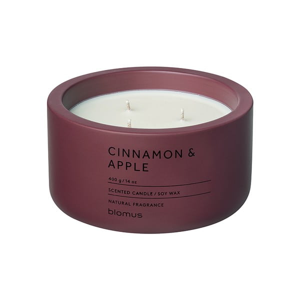 Lõhnastatud sojaküünal, põlemisaeg 25 h Fraga: Cinnamon & Apple – Blomus