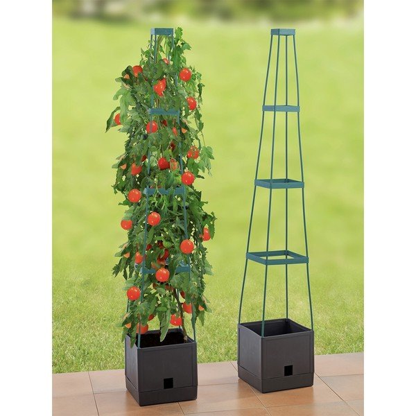Plastist lillepott - Maximex-image-1