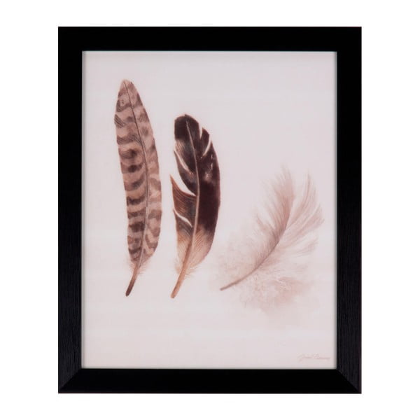 Obraz sømcasa Feathers, 25 x 30 cm