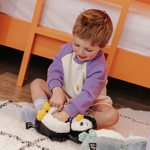 Pehmed mänguasjad 2-osalise komplektiga Ptipotos Iglou - Les Deglingos-image-1