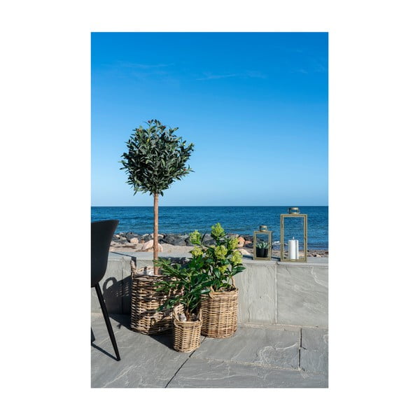 Kunsttaim (kõrgus 60 cm) Fig – House Nordic-image-3