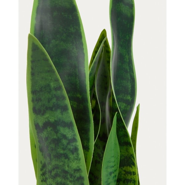 Kunsttaim (kõrgus 55 cm) Sansevieria - Kave Home-image-3