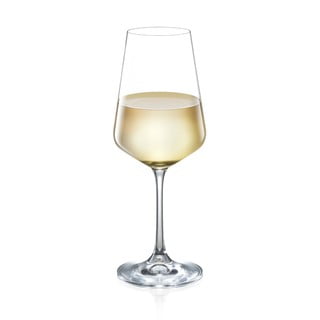 Veiniklaasid 6tk komplektis 350 ml Giorgio - Tescoma