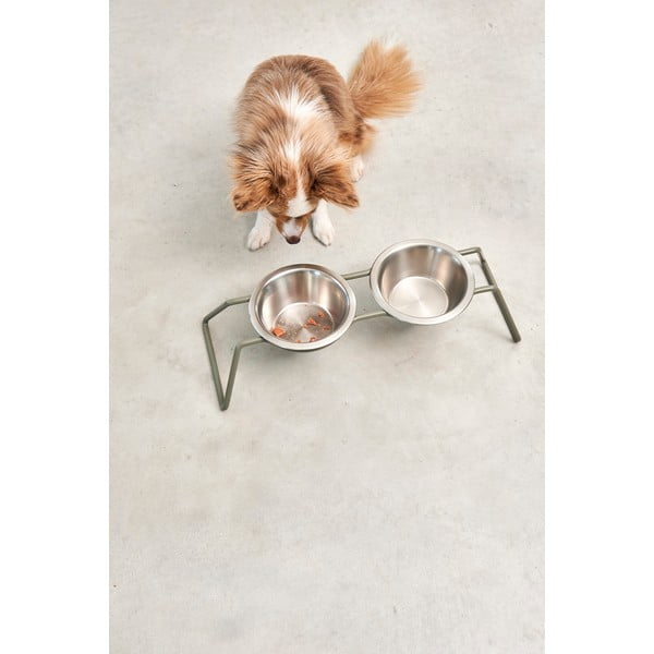 Roostevabast terasest koerakausside komplekt koos alusega Cena Grollive M - MiaCara-image-3