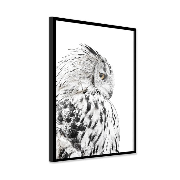Plakat raamis 50x70 cm Owl - Styler-image-3