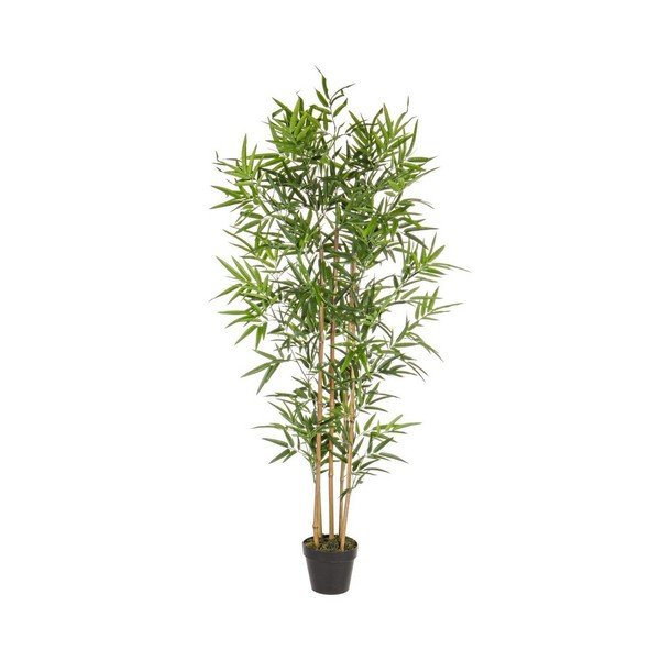 Kunstbambus, 155 cm Bamboo – Bizzotto