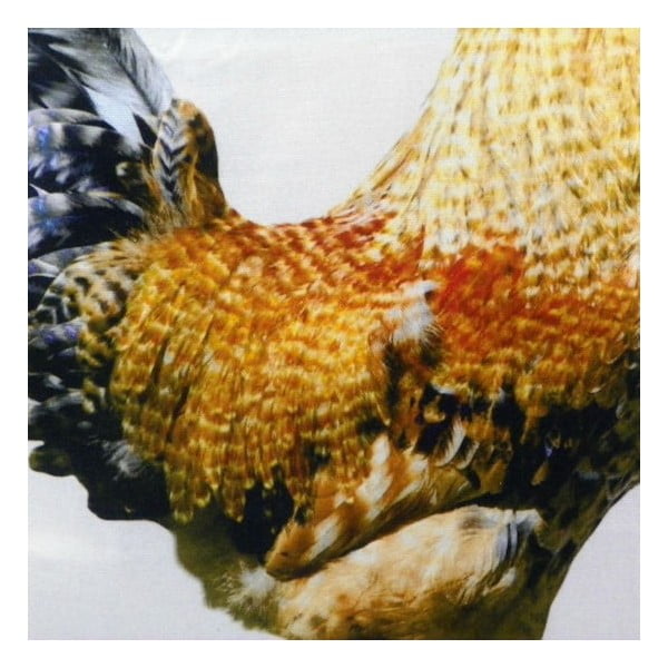 Polštář Rooster 50x50 cm-image-2