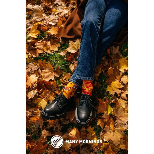 Sokid , suurus 35-38 The Squirrels - Many Mornings-image-2