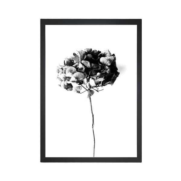 Plakat 24x29 cm Velvet Flower - Tablo Center
