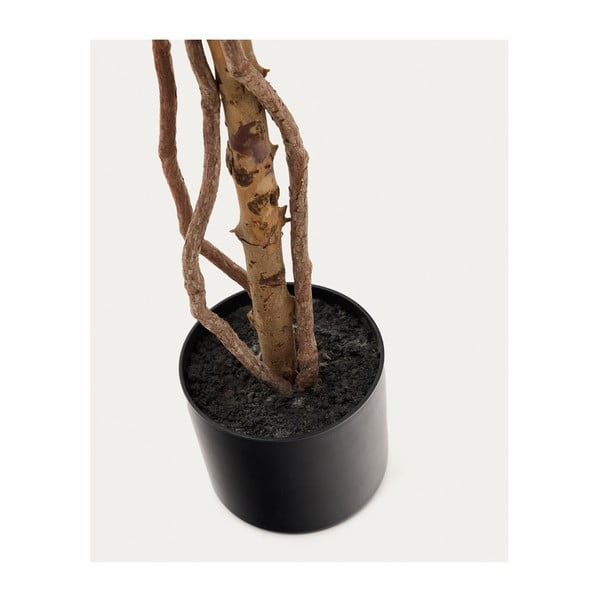 Kunstlik viigipuu (kõrgus 180 cm) Ficus - Kave Home-image-2
