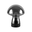 LED laualamp klaasist varjuga (kõrgus 18 cm) Dooley - Reality