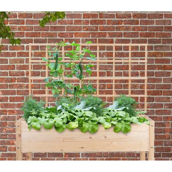 Ronitaimede võred – Esschert Design-image-1