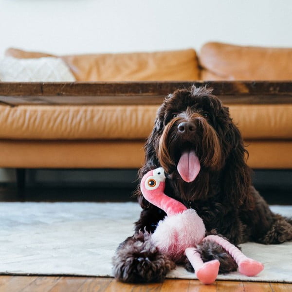 Mänguasi koerale Flamingo - P.L.A.Y.-image-1