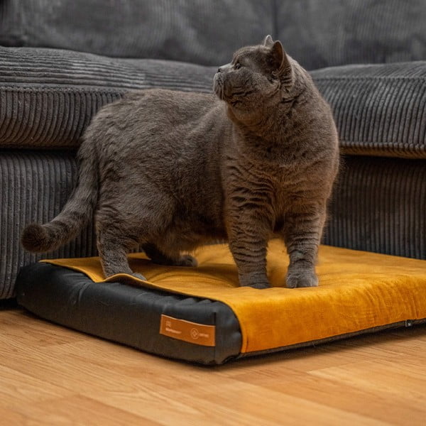 Kollane madratsikate 90x70 cm Ori XL – Rexproduct-image-1