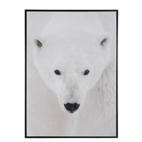 Zarámovaný plakát Polar Bear, 100x140 cm