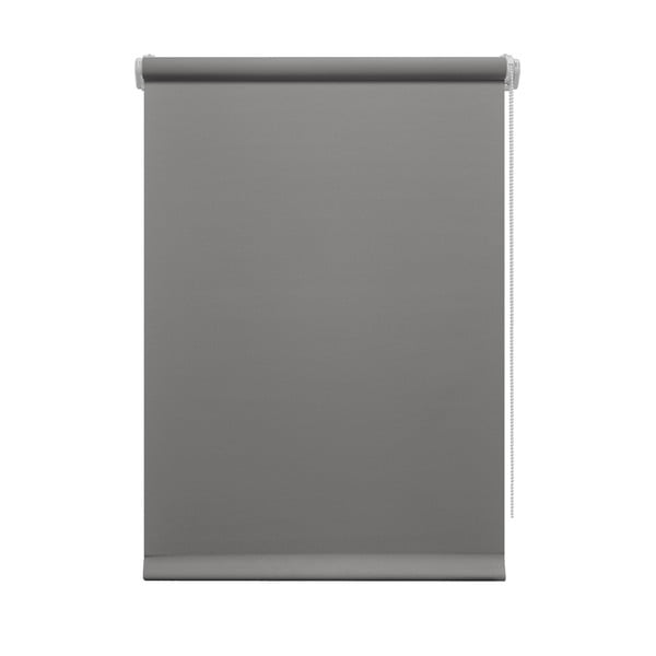 Tumehall ruloo 80x150 cm Mini Relax - Gardinia