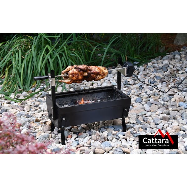 Mootoriga grill, pikkus 60 cm Barbecue - Cattara-image-1