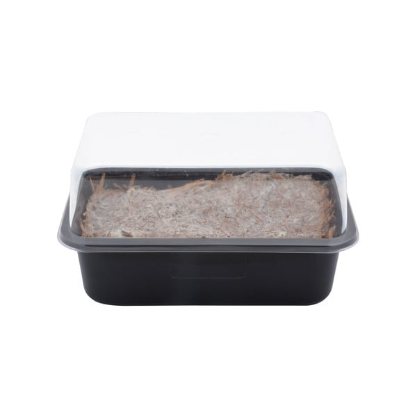 Kasvatuskast Field Mushroom – Esschert Design-image-3