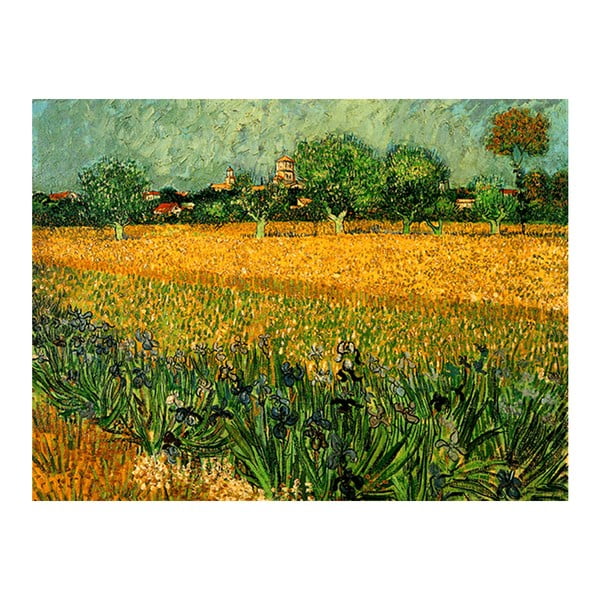 Vincent van Goghi reproduktsioon - vaade arlesele, esiplaanil iirised, 40 x 30 cm. Vincent van Gogh - View of arles with irises in the foreground - Fedkolor