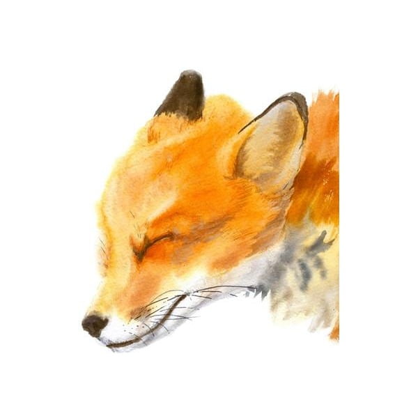 Plakát Chocovenyl Mama Fox, A3-image-2