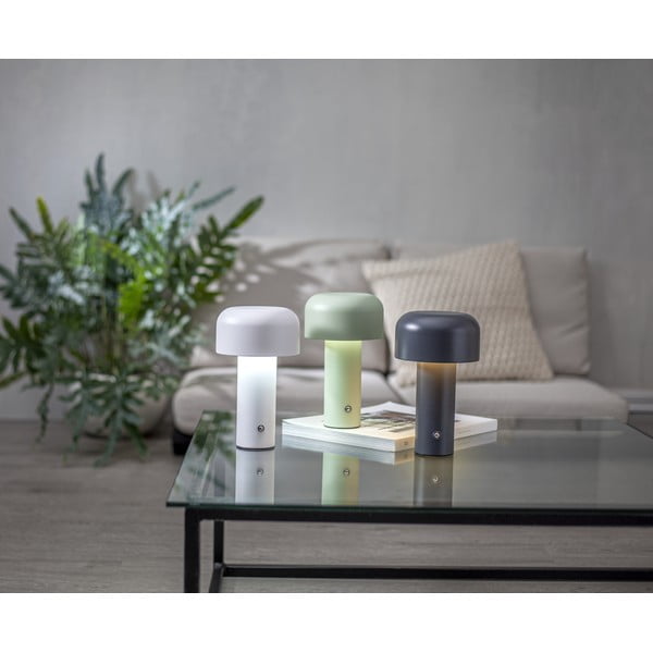 Hall LED-lauavalgusti (kõrgus 21,5 cm) Bobby - Star Trading-image-2