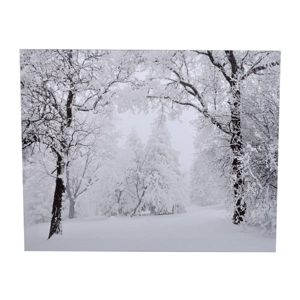Obraz Ewax Snowy Nature, 40 x 50 cm