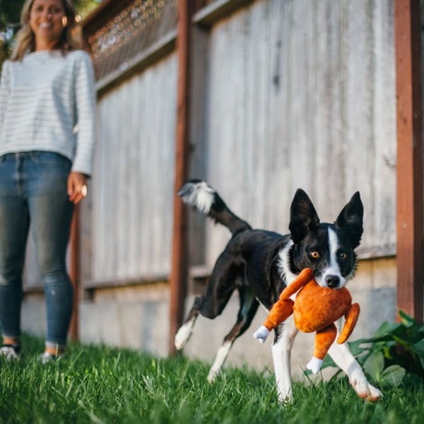 Mänguasi koerale Turkey - P.L.A.Y.-image-1