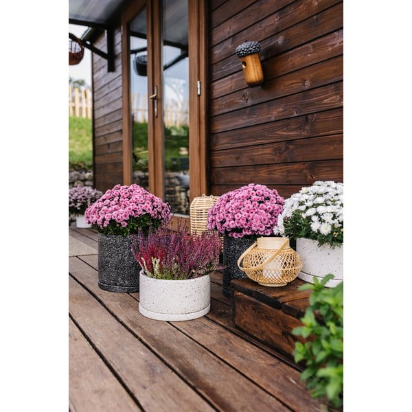 Tumehall pott, ø 34 cm Terrazzo - Bonami Selection-image-2