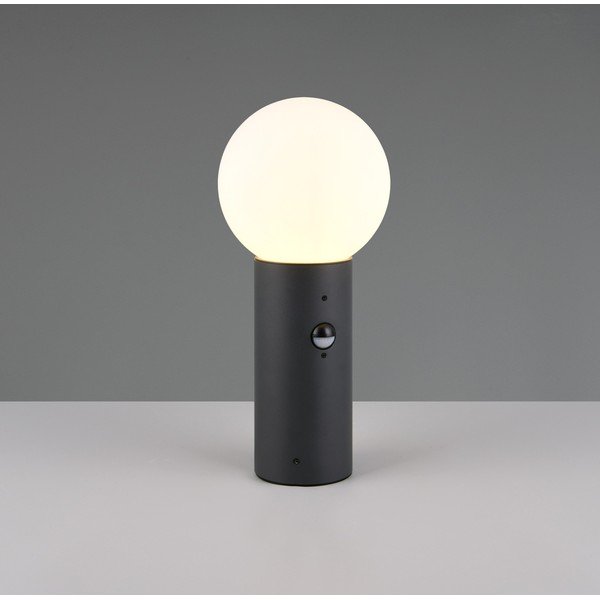 Liikumisanduriga õuevalgusti ø 18 cm Mures - Trio-image-1
