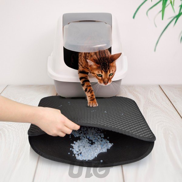 Kassiliivakast 50x40 cm - Love Story-image-1