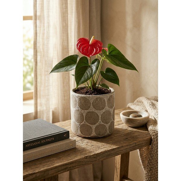 Käsitööna valminud terrakota lillepoti kate ø 12 cm Felan - Bloomingville-image-2