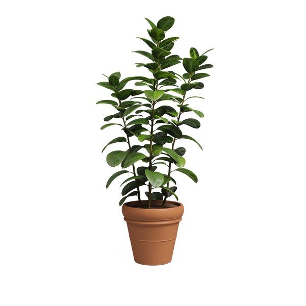 Terrakotta lillepott ø 47 cm Mariza - Artevasi-image-4