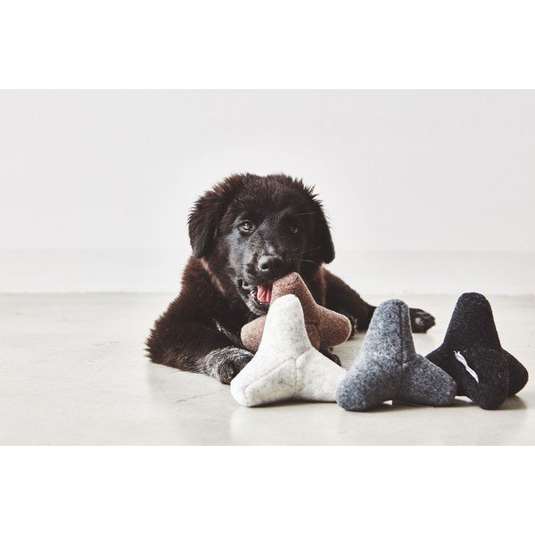 Mänguasi koerale Quattro Greige S/M - MiaCara-image-2