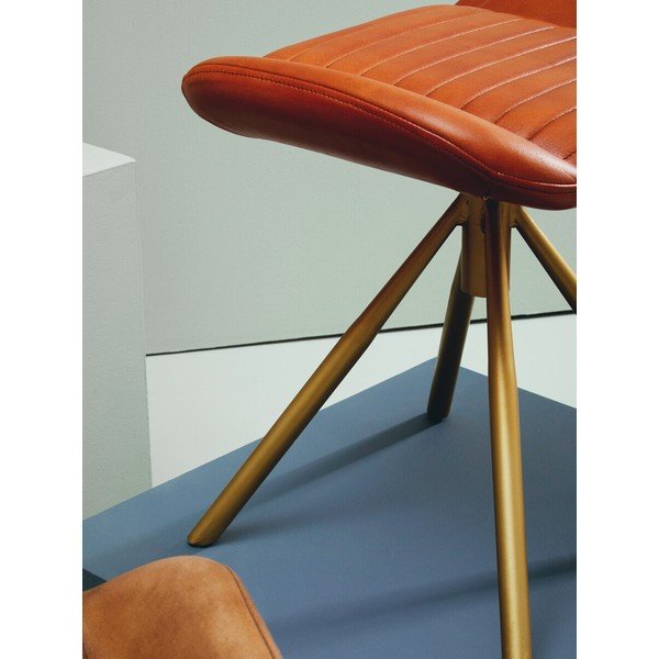 Pruun nahkjalaping Buffalo - Premier Housewares-image-3