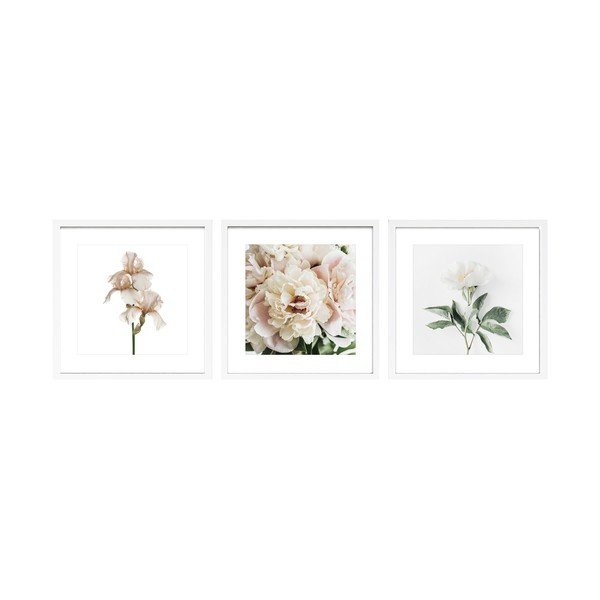 Trükitud pildid 3-osalise komplektiga, raamiga 30x30 cm Posy - Styler
