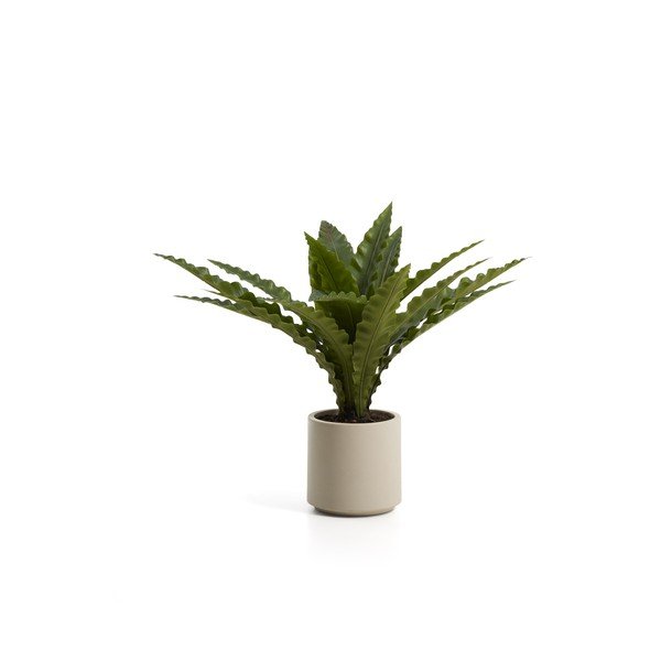 Kunstlik sukulent (kõrgus 70 cm) Neottopteris - Kave Home